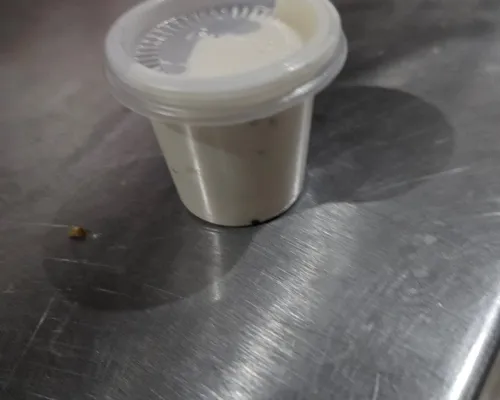 Salsa Ranch Extra img